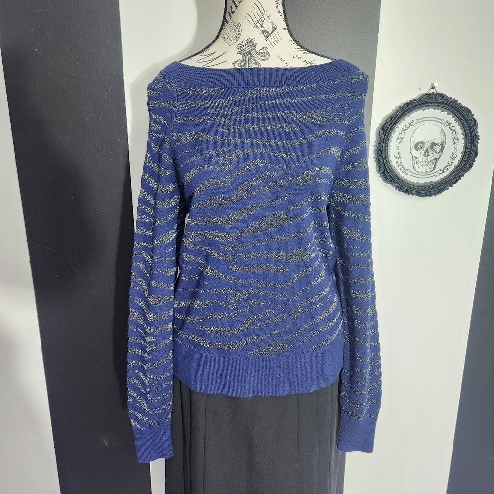 Stella & Dot Blue and Silver Striped Sweater